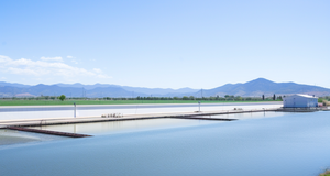 Irrigation Innovation: Alqueva Dam's Agricultural Impact